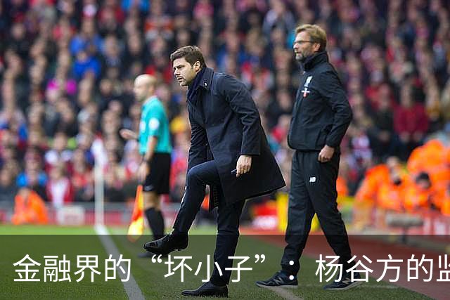 金融界的“坏小子”：杨谷方的监管风波